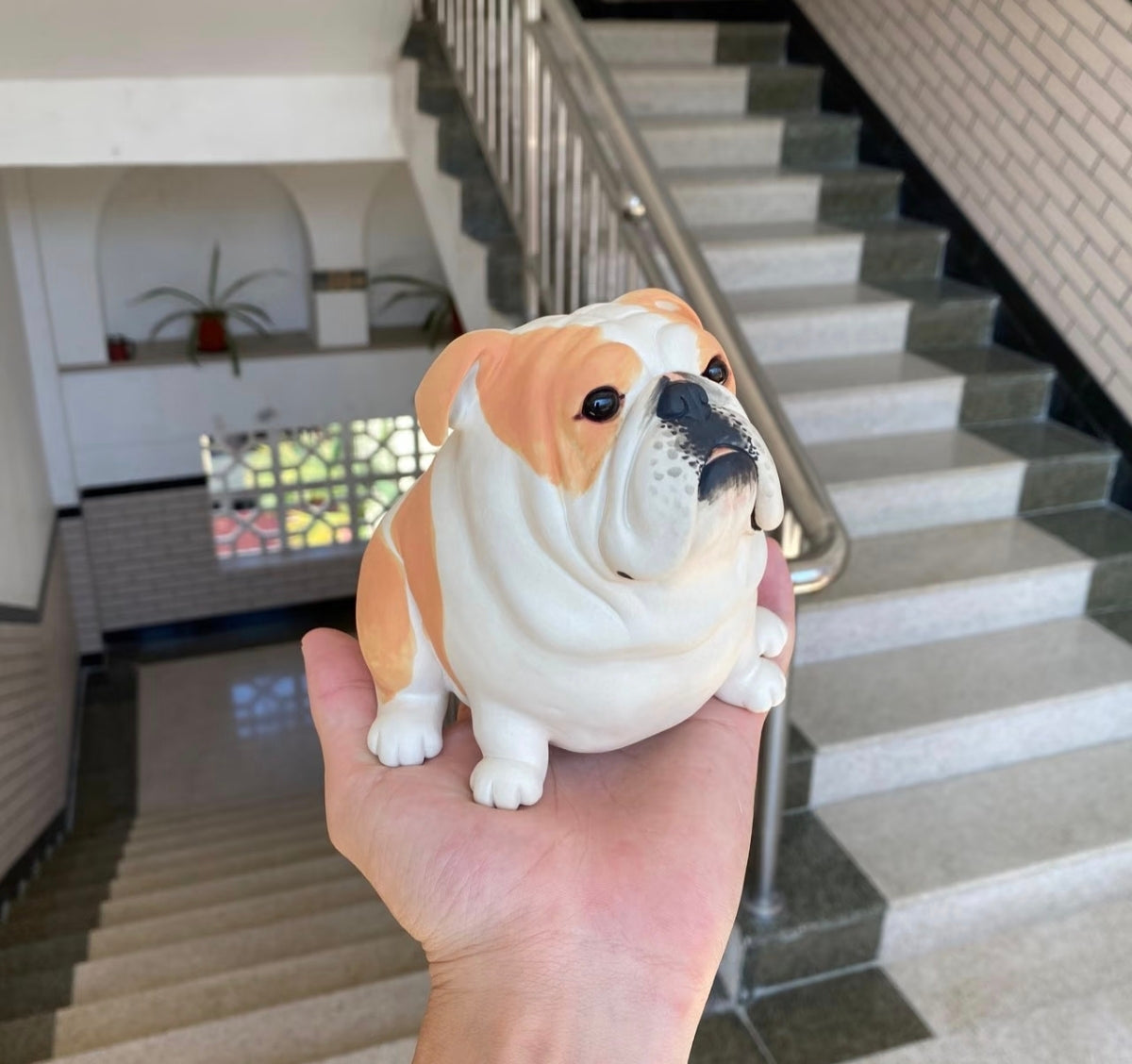 English Bulldog