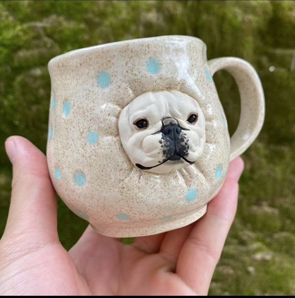 Spotted Blue  Frenchie