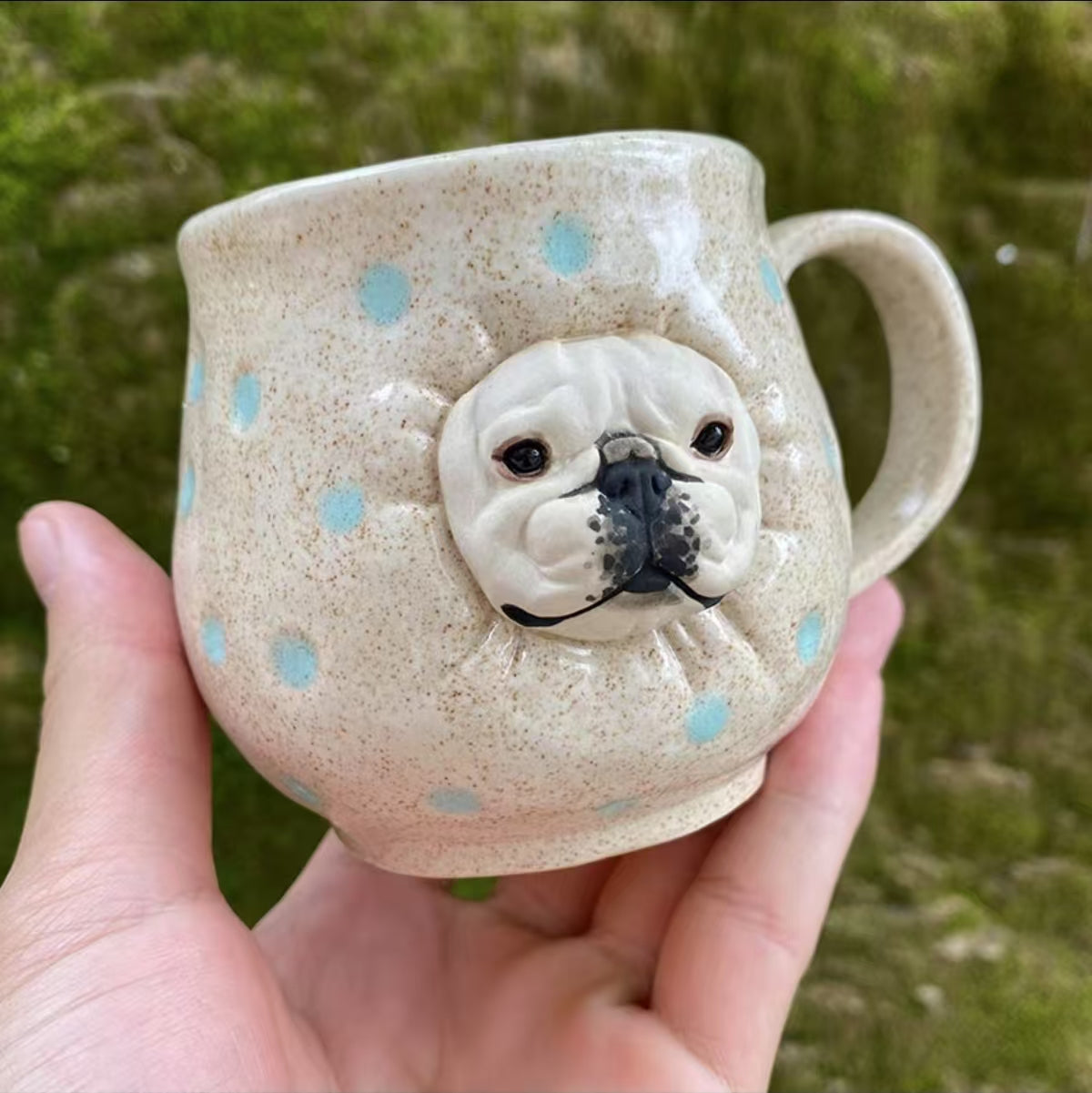 Spotted Blue  Frenchie
