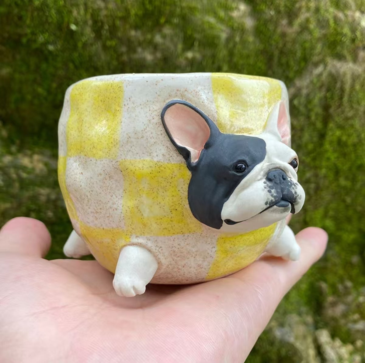 Lemon Cuddle