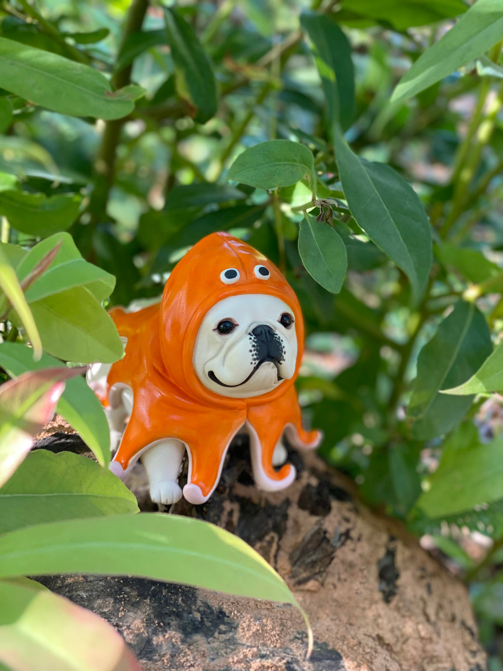 Orange Raincoat Frenchie