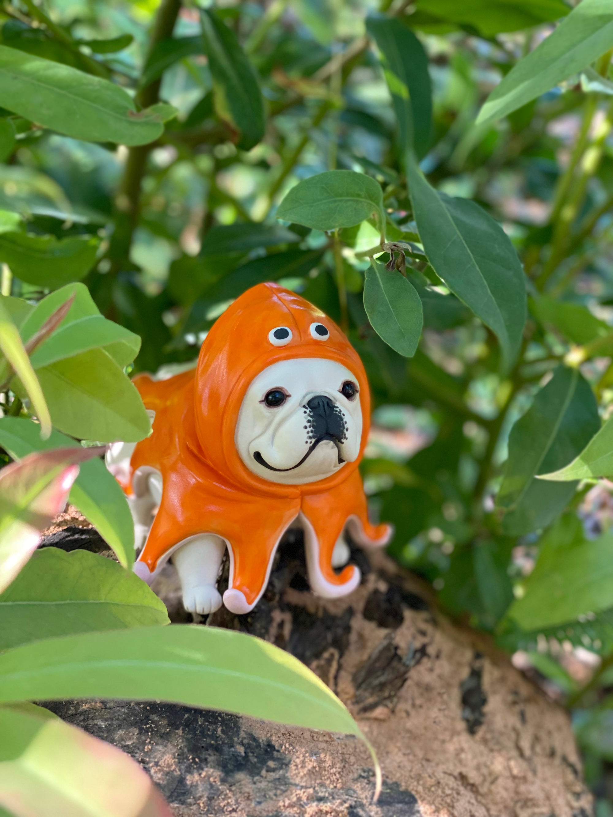 Orange Raincoat Frenchie