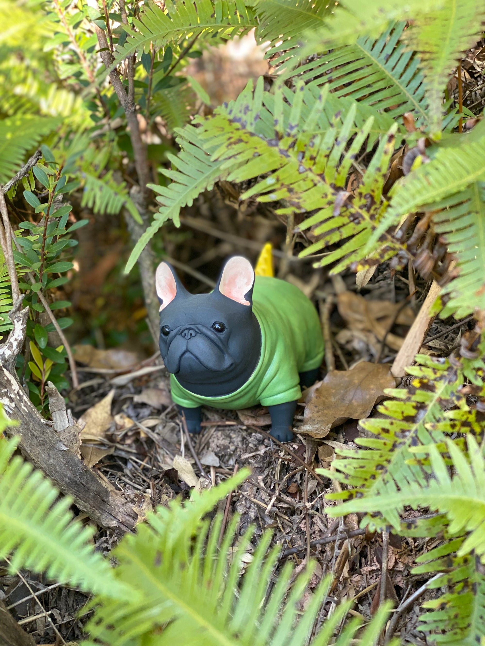 Green Shirt Frenchie