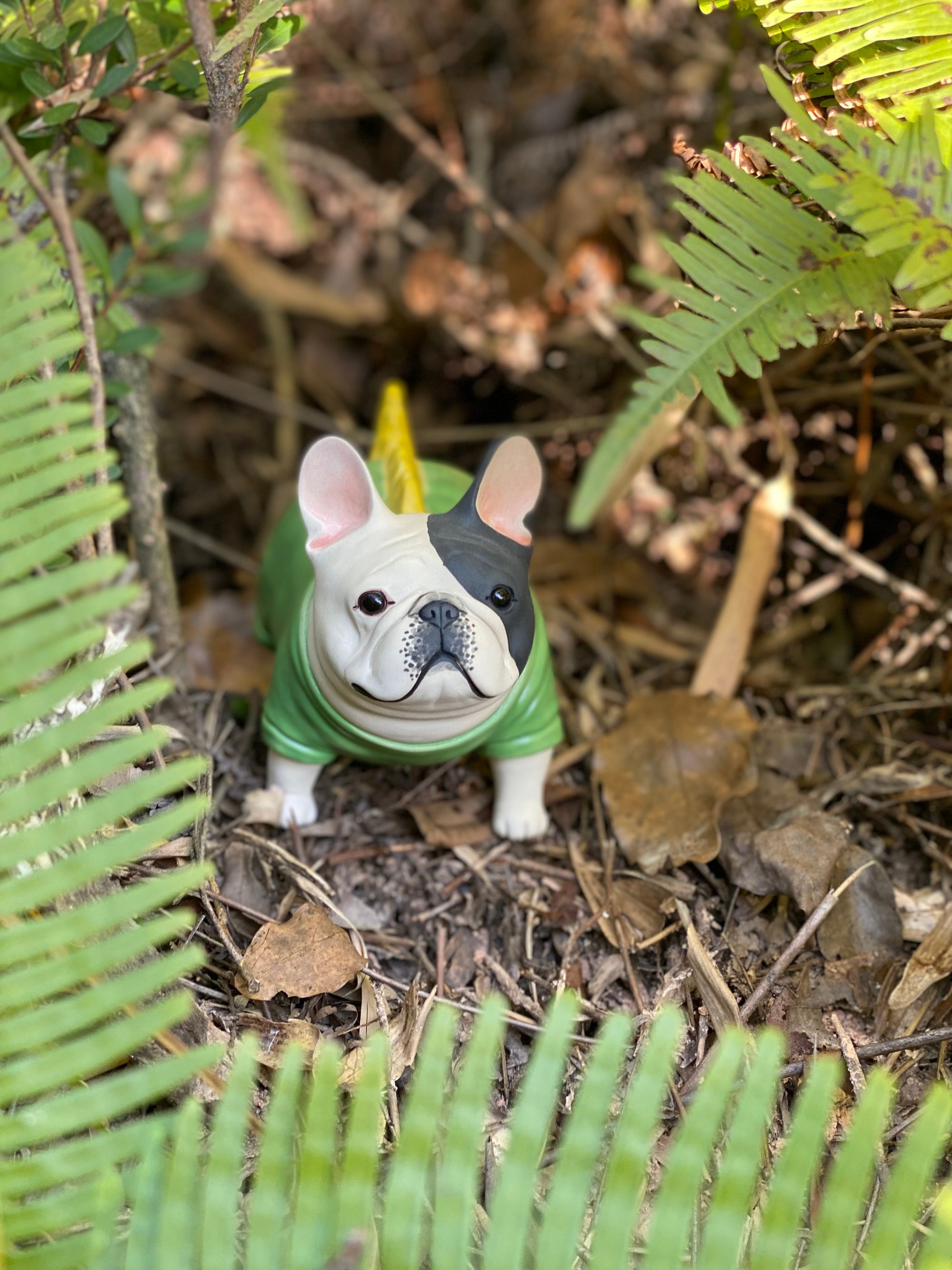 Green Shirt Frenchie