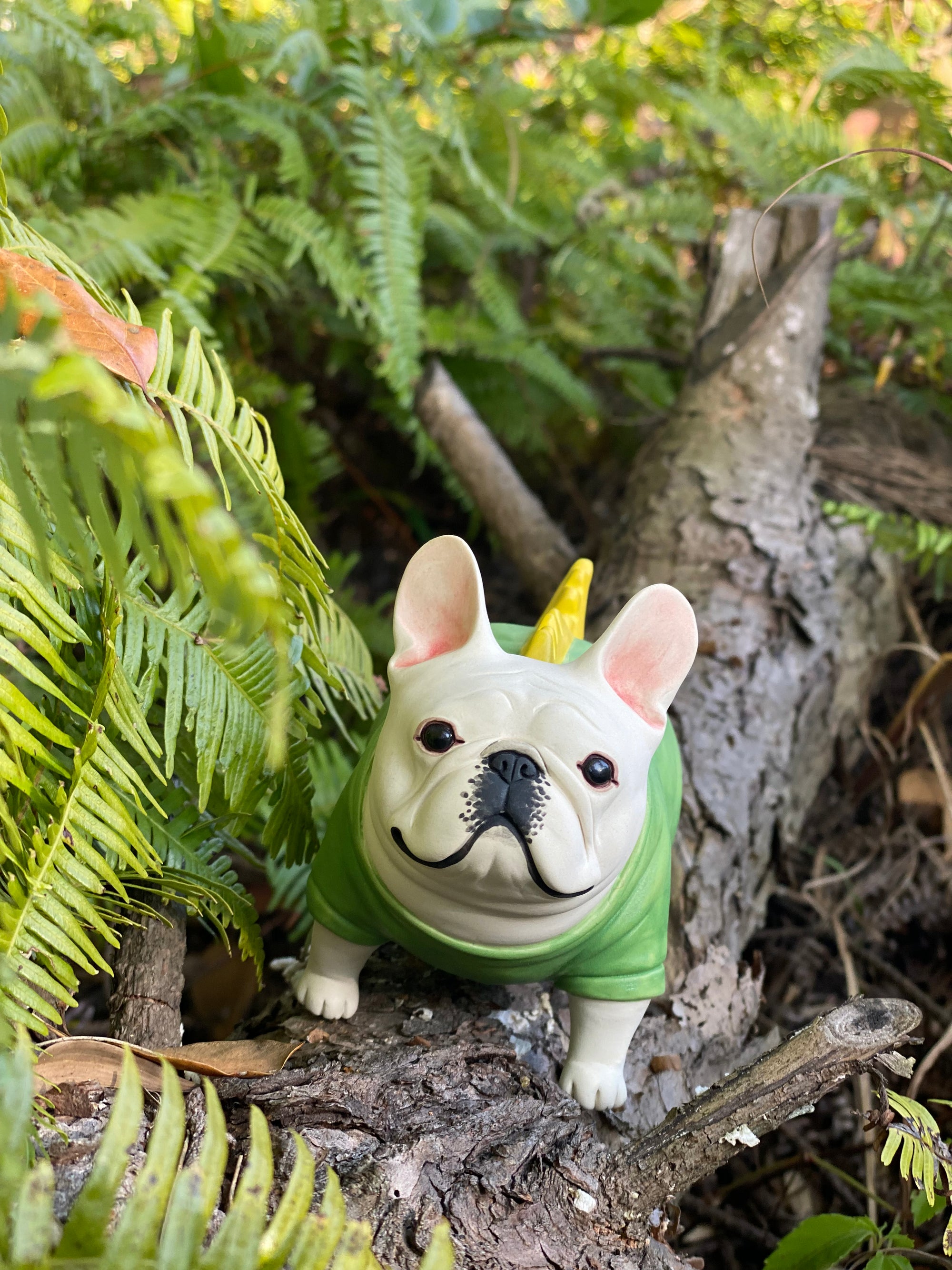 Green Shirt Frenchie