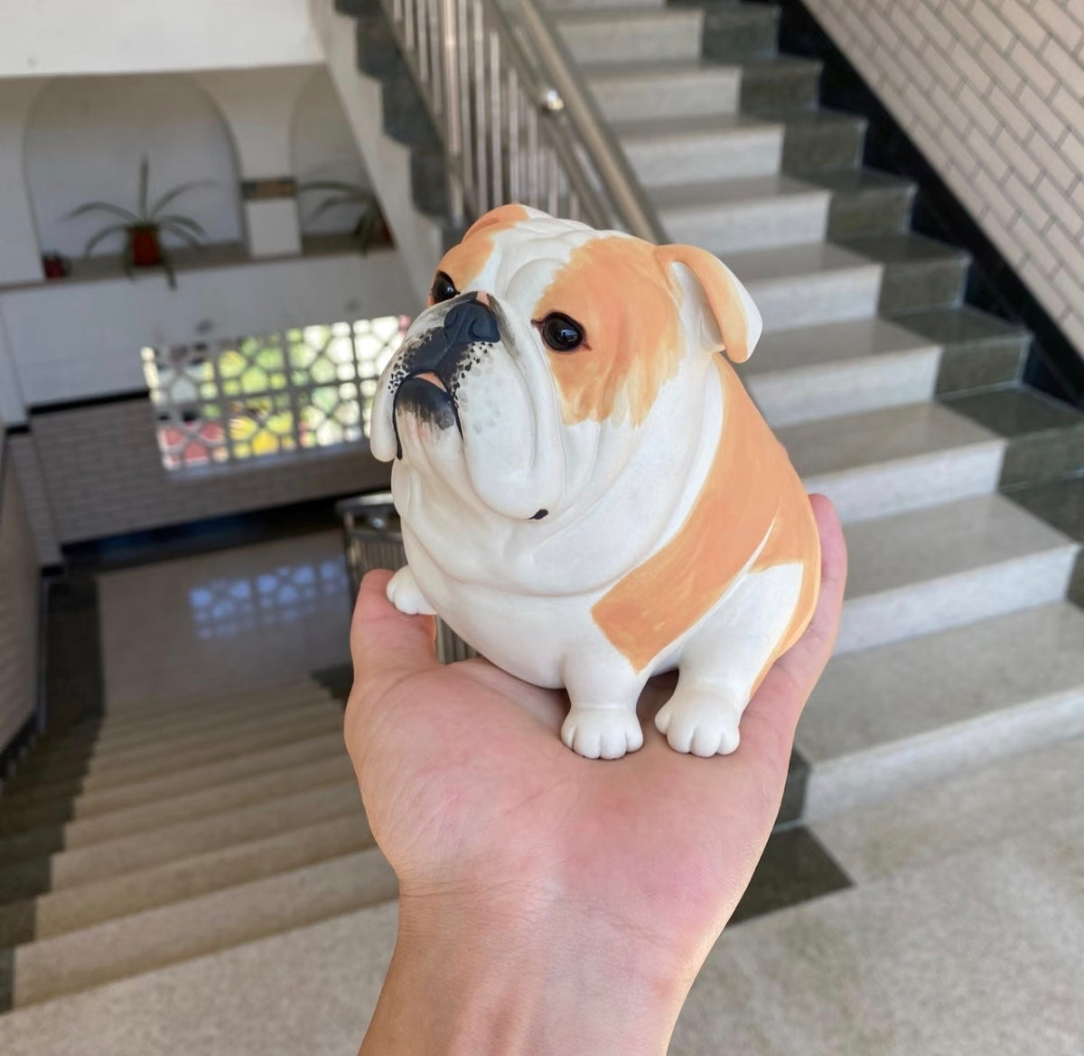 English Bulldog