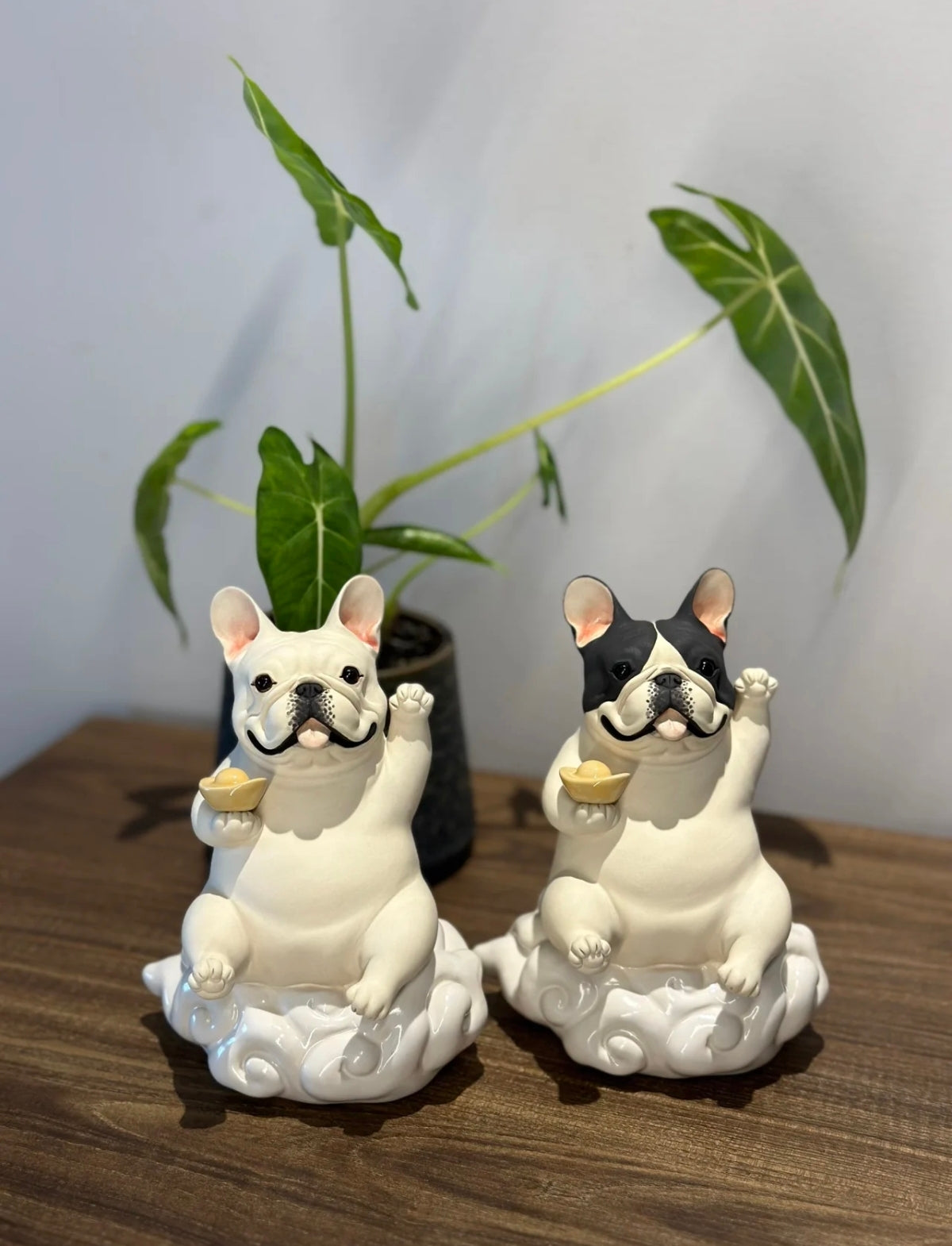 Cloud Frenchie