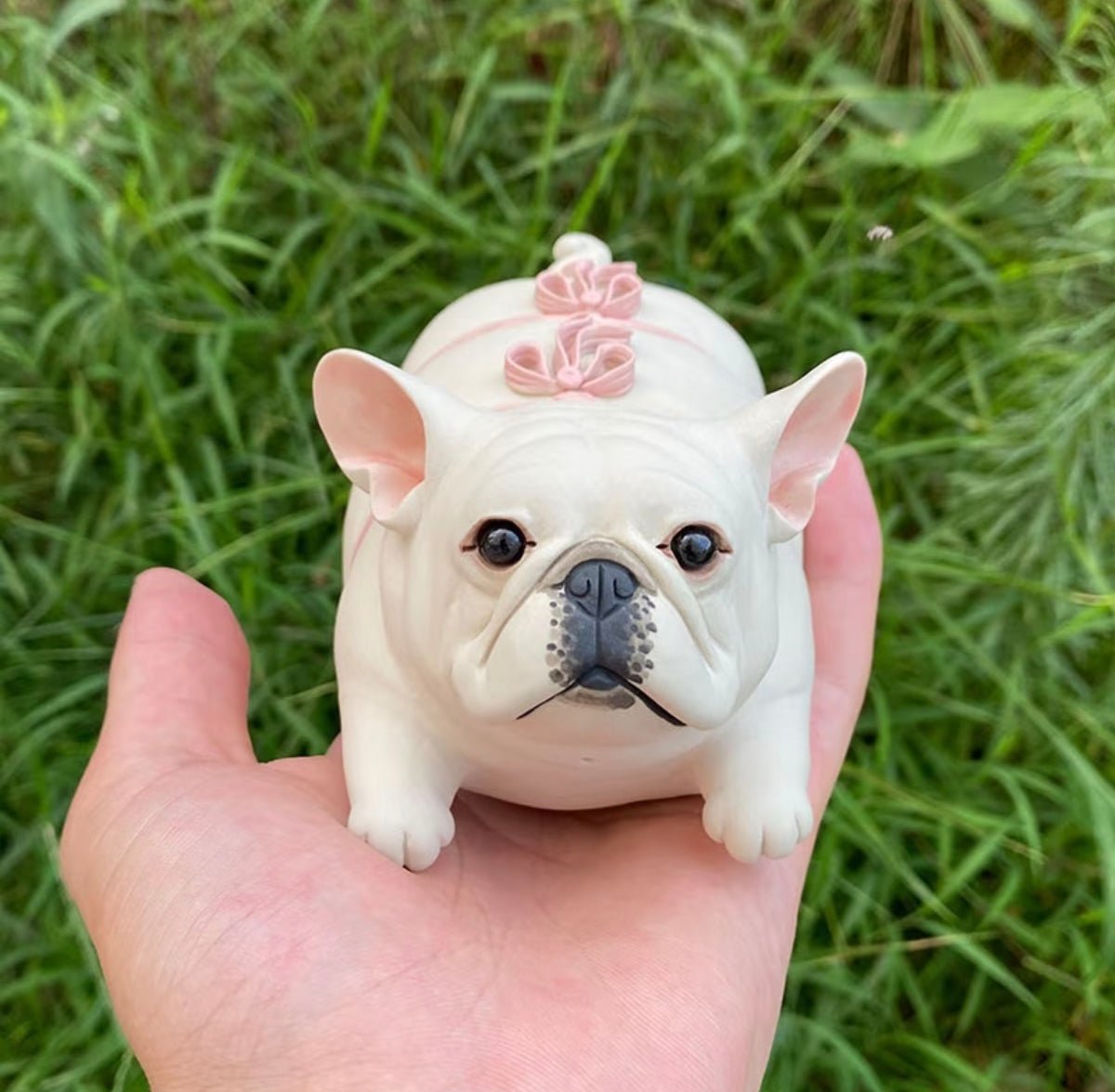 Frenchie Nap