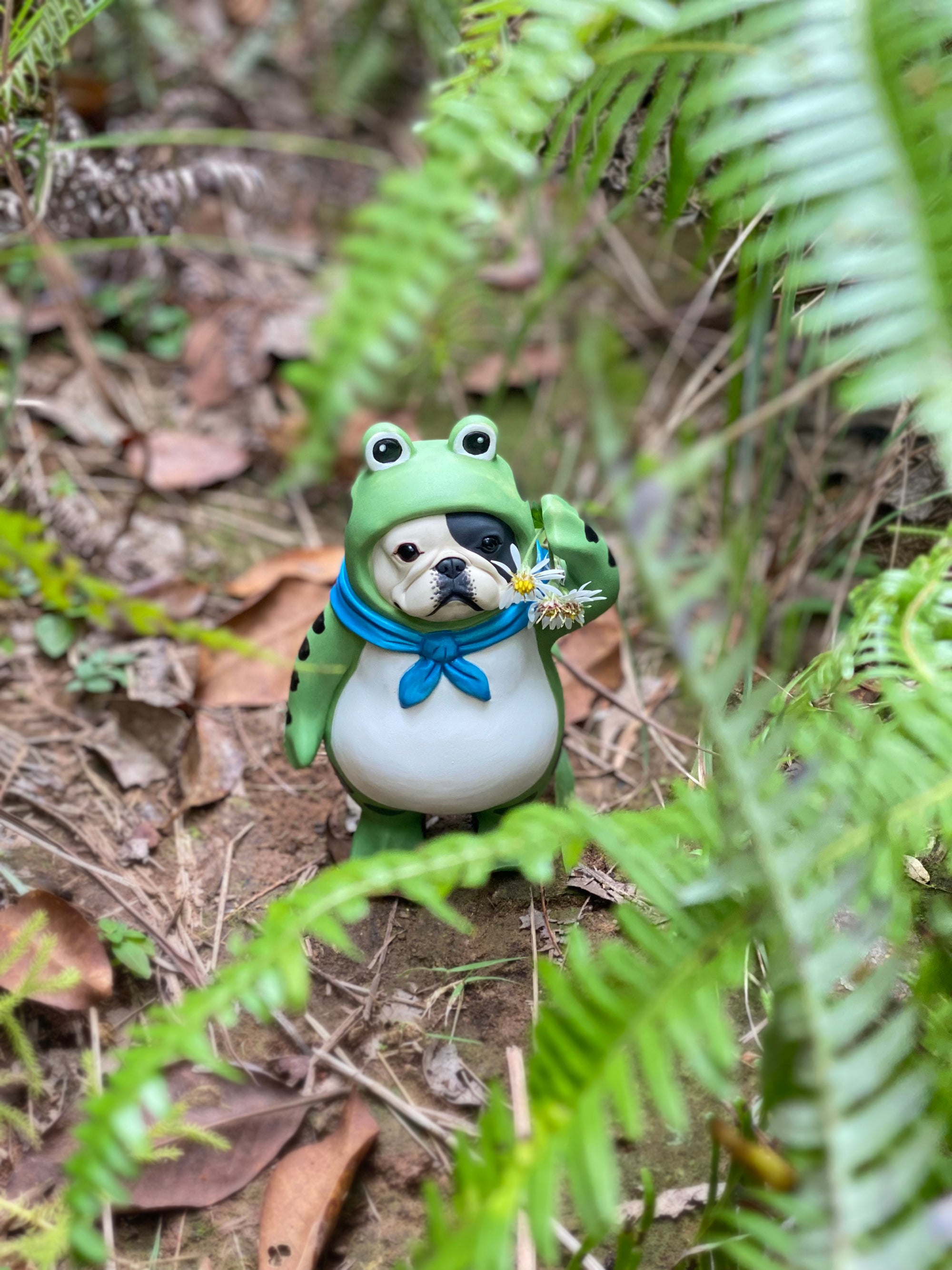 Frenchie Frog