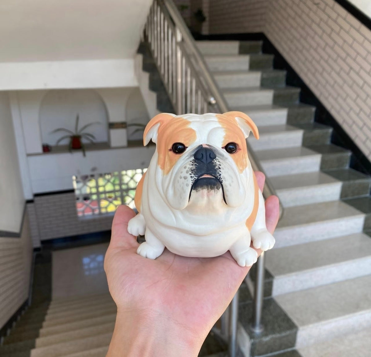 English Bulldog