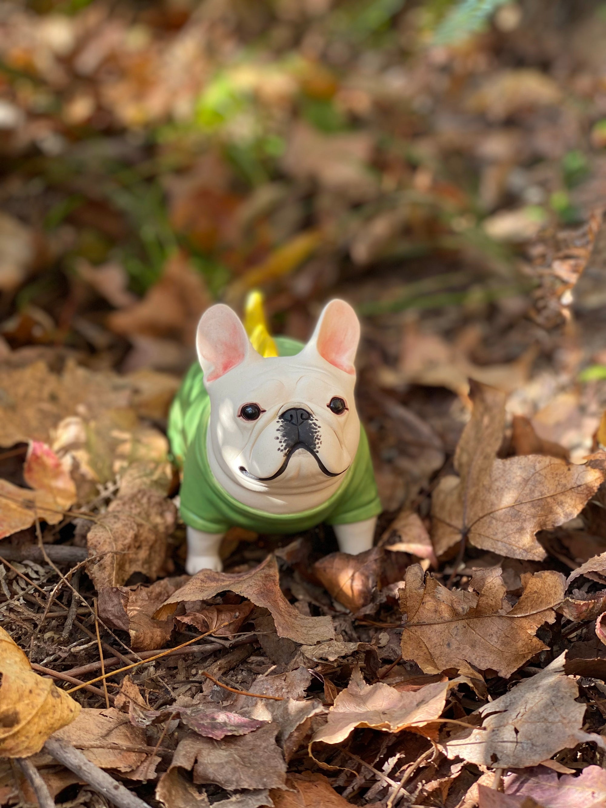 Green Shirt Frenchie
