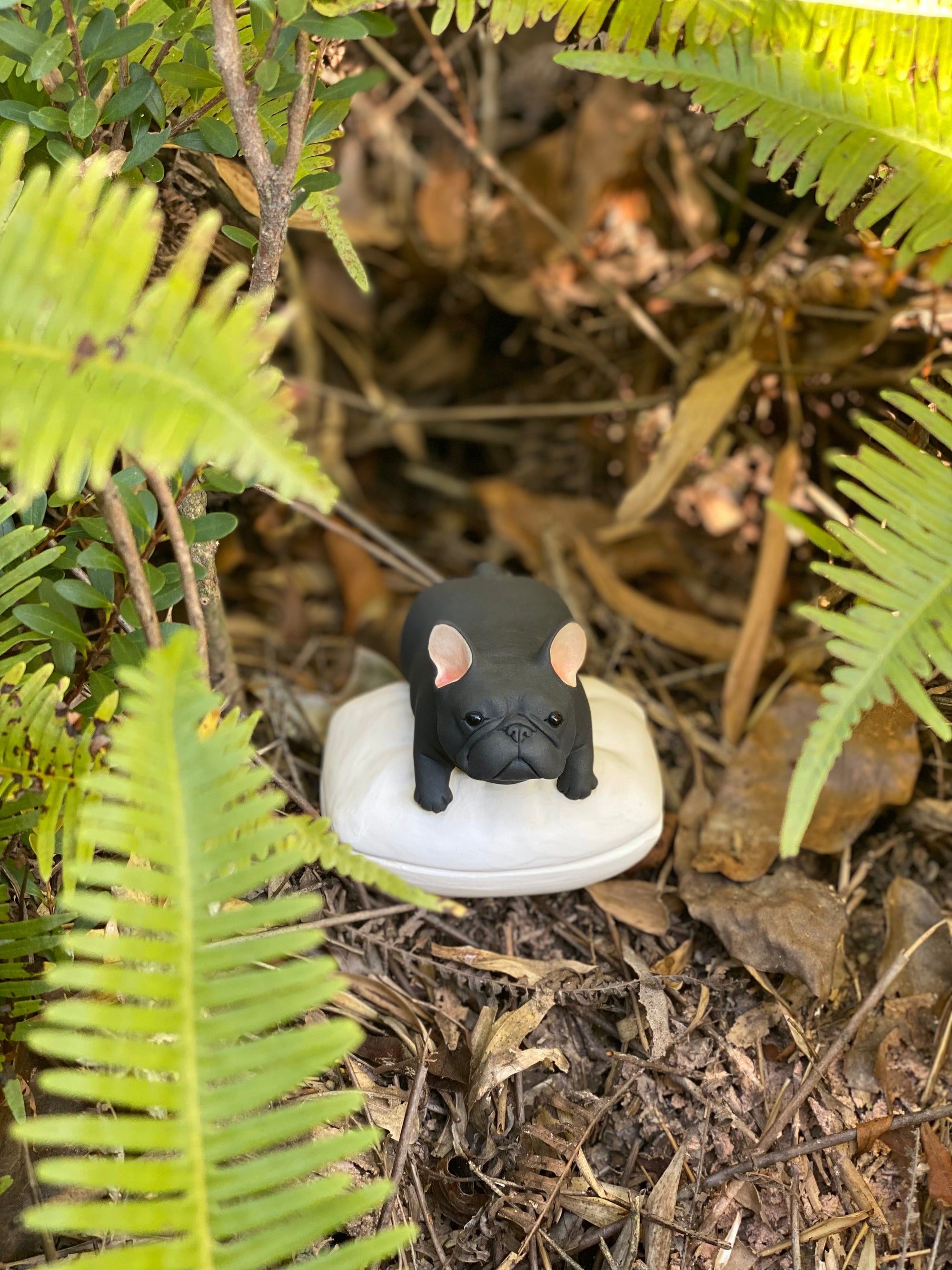 Frenchie Rest