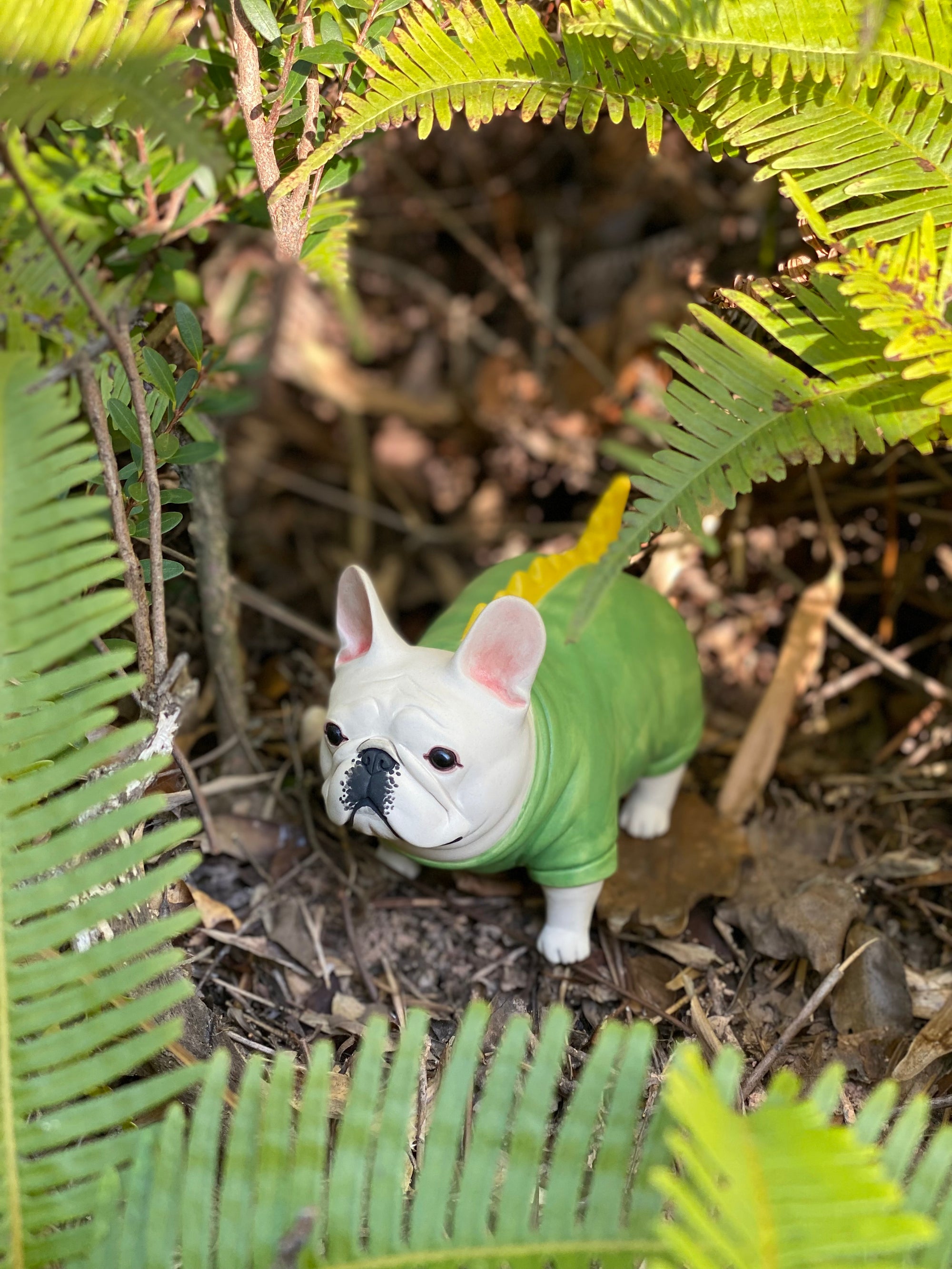 Green Shirt Frenchie