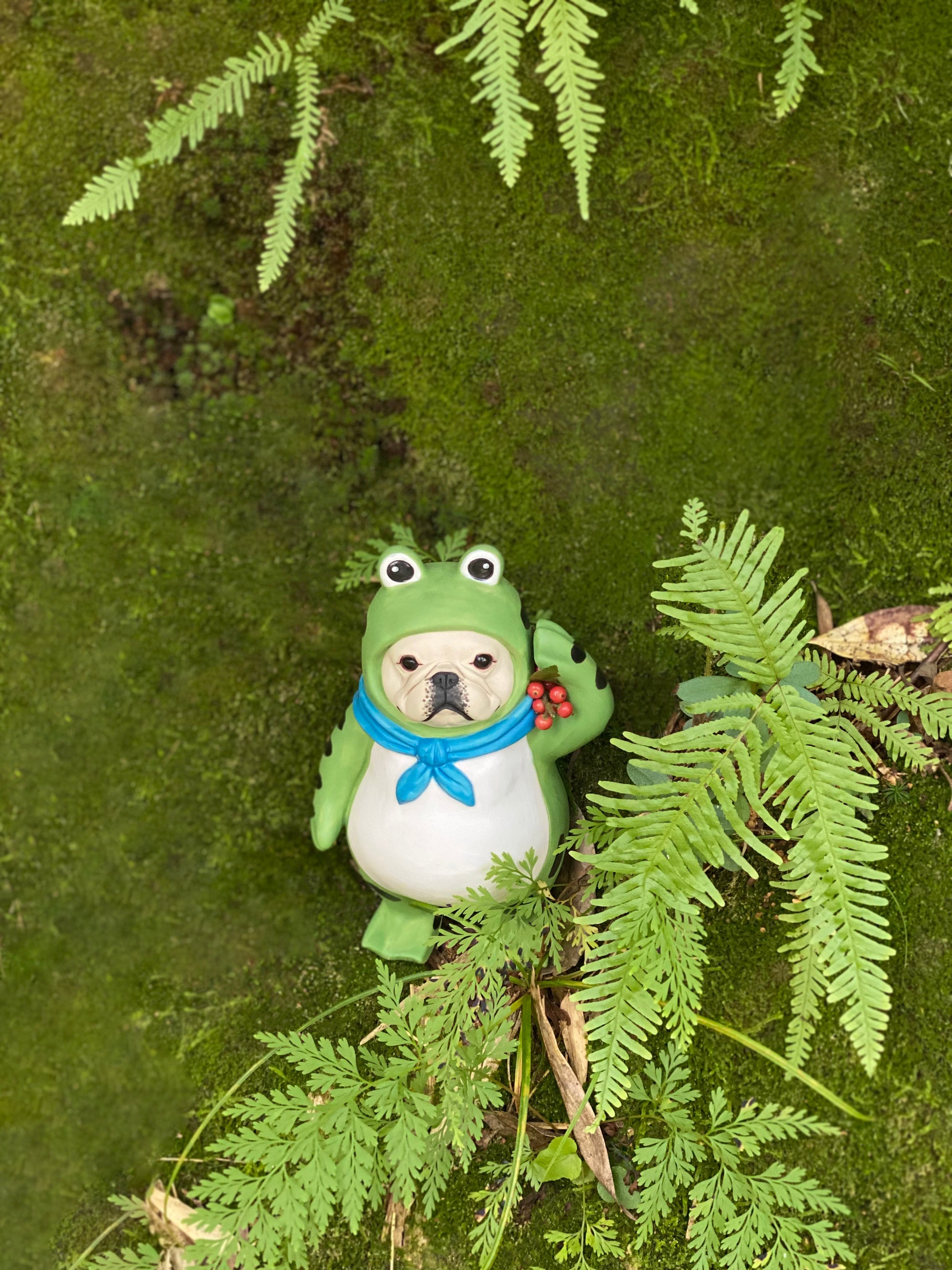 Frenchie Frog