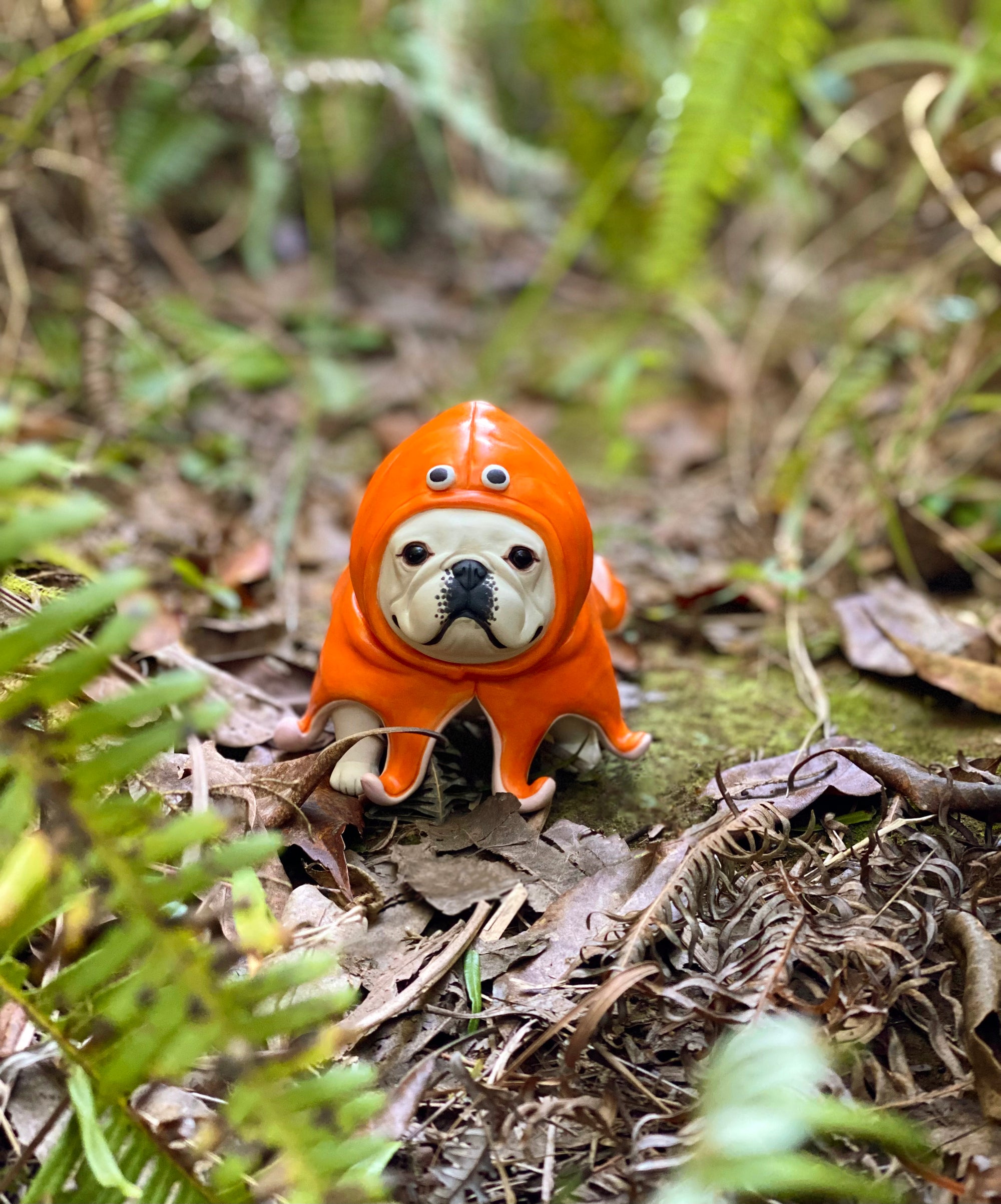 Orange Raincoat Frenchie